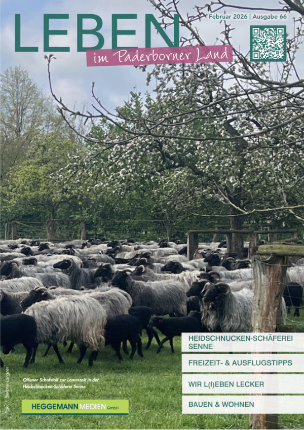 Leben im Paderborner Land Ausgabe 66
